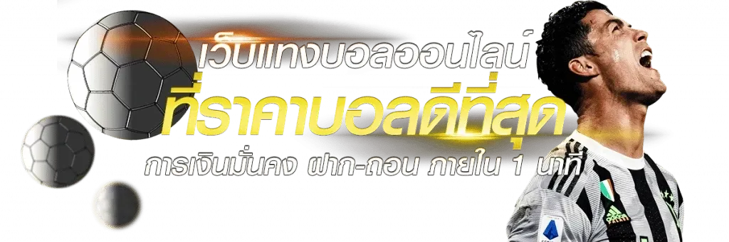 lion191 (1)
